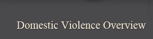 Domestic Violence Practice Areas
